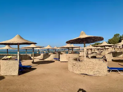 a group of chairs and umbrellas on a beach at Turtles Beach Resort - Hurghada in Hurghada