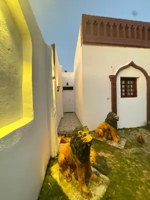 two dogs laying in the grass next to a building at Salem & Renča Guest House in Luxor
