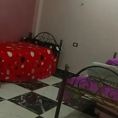 شقه للايجار