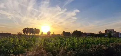 a field of grass with the sun in the sky at Gateway to the Stars restaurant & camping in Al Aqālitah
