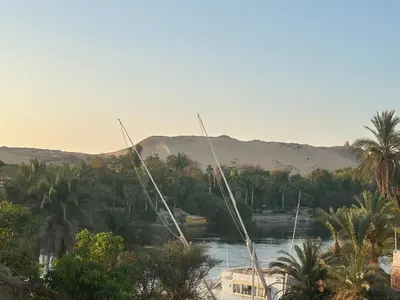 a view of a body of water with palm trees at Eshyan Guest House in Aswan