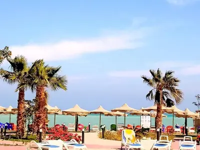a beach with palm trees and chairs and umbrellas at كذابلانكا بيتش in Hurghada