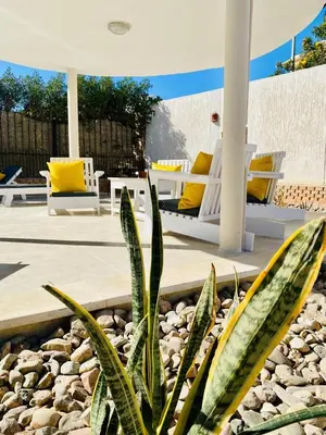 a patio with yellow and white chairs and a plant at Magawish Hurghada Apartement 1 in Hurghada