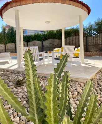 a cactus in front of a gazebo at Magawish Hurghada Apartement 1 in Hurghada
