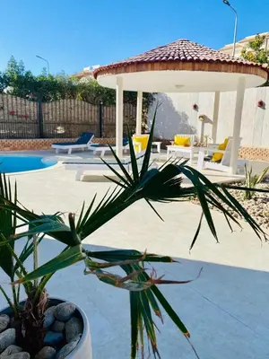 a potted plant with a gazebo next to a pool at Magawish Hurghada Apartement 1 in Hurghada