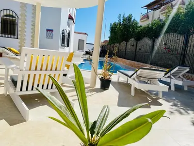 a patio with chairs and a potted plant next to a pool at Magawish Hurghada Apartement 1 in Hurghada