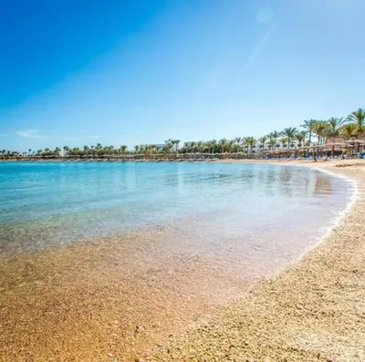 a beach with clear blue water and palm trees at ميراج باي ريزورت منتجع لافستا in Hurghada
