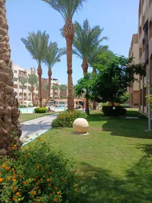 a park with palm trees and a ball in the grass at Soleya Residence in Hurghada