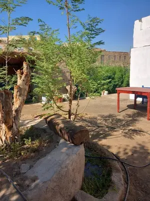 a tree sitting next to a red picnic table at Soul House in Jazīrat Fīlah