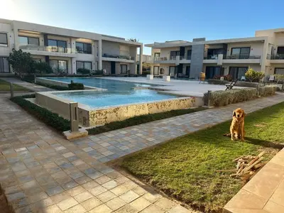 a dog sitting in the grass in front of a building at Elgouna G cribs b-7 first floor in Hurghada