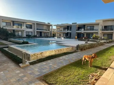 a dog standing in the grass in front of a building at Elgouna g-cripes b-7 in Hurghada