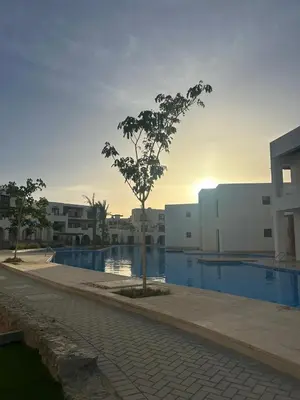 a tree in the middle of a sidewalk next to a building at Tranquil 3-Bedroom Holiday Home in Makadi Heights, Hurghada - Private Rooftop Pool, Lagoon and More in Hurghada