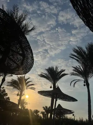 a group of palm trees and a beach umbrella at ميراج باي in Hurghada