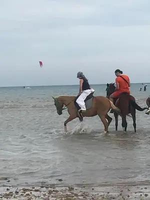 two people riding horses in the water on the beach at Tiba view in Hurghada