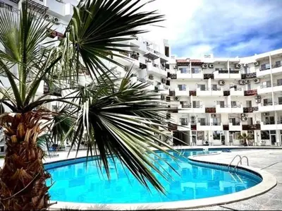 a palm tree in front of a large building at Tiba view in Hurghada