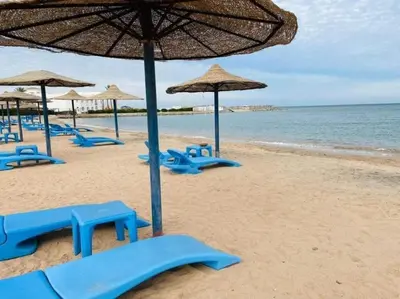 a beach with blue chairs and umbrellas and the ocean at cecelia resort in Hurghada