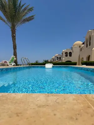 a swimming pool with a palm tree and a slide at Logement entier villa Marsa Alam, Égypte in Quseir