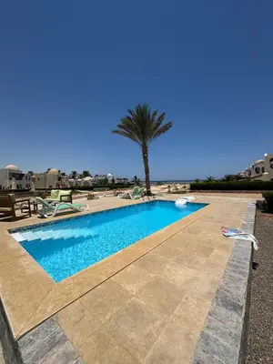 a swimming pool with a palm tree in the background at Logement entier villa Marsa Alam, Égypte in Quseir