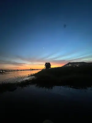 a sunset over the water with a tree in the distance at Assuan Felucca in Aswan