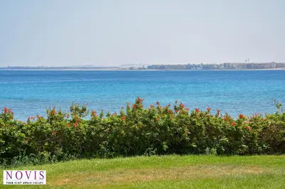 a row of bushes with the ocean in the background at Novis Holiday Homes Sahl Hasheesh in Hurghada