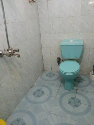 a bathroom with a blue toilet and a shower at هاي موود in Jazīrat Aswān