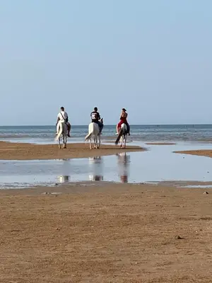 a group of people riding horses on the beach at Tiba view in Hurghada