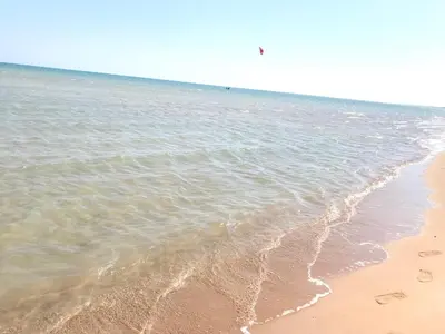 a beach with footprints in the sand and water at Tiba view in Hurghada