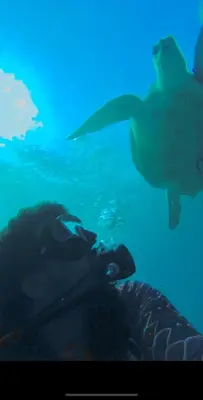 a person taking a picture of a shark in the water at Private Diving in Hurghada in Hurghada