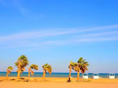 a group of palm trees on a sandy beach at El-Gouna in Hurghada