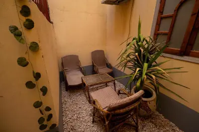 a group of chairs and a plant in a room at White Flower Flats in Luxor