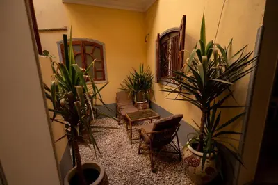 a room with potted plants and chairs in a room at White Flower Flats in Luxor