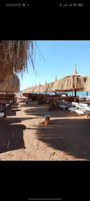 a group of straw umbrellas on a beach at Fanadir bay Al Ahyaa in Hurghada