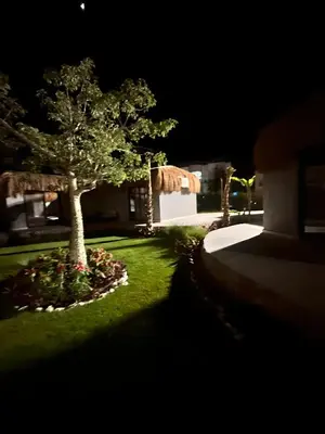 a tree in the yard of a house at night at Fanadir Suite All inclusive Resort in Hurghada