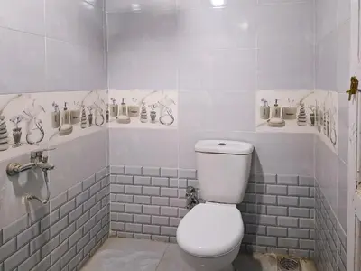 a bathroom with a white toilet and a shower at Nubian Home by Sara in Nag` el-Ramla