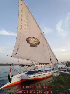 a sail boat in the water with a bird on it at Mary sailboat adventure in Luxor