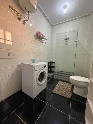a bathroom with a washing machine and a toilet at Nile Spirit View in Luxor
