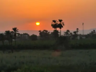 an orange sunset with palm trees in a field at Nile Spirit View in Luxor
