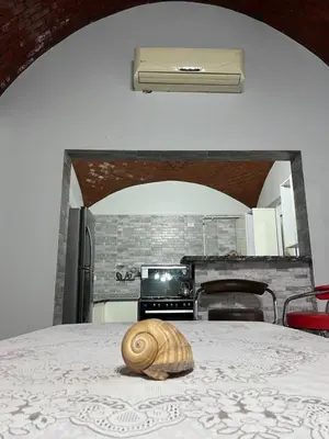 a snail sitting on a table in a kitchen at Poraa roof in Hurghada