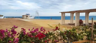 a pavilion on the beach with flowers and the ocean at Princess Beachfront Resort Hurghada in Hurghada