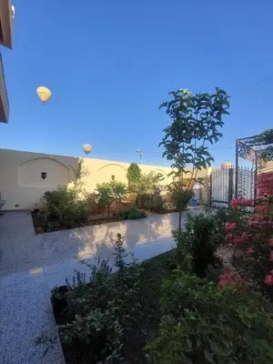 a garden with flowers and plants in front of a building at Carter Guesthouse Luxor 4 in ‘Ezbet Abu Ḥabashi