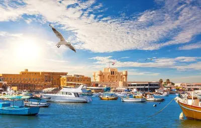 a bird flying over a harbor with boats in the water at ايجبت تورز in Luxor