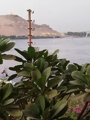 a plant in front of a body of water at Luna Nile in Aswan