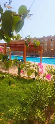a swimming pool with a pavilion and pink flowers at Bay View Resort Sahl Hashesh in Hurghada