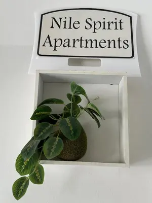 a plant in a white picture frame with a sign at Nile Spirit Apt 2 in Jazīrat al ‘Awwāmīyah