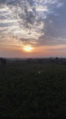 a field with the sun setting in the horizon at Paradise House Holiday in Luxor