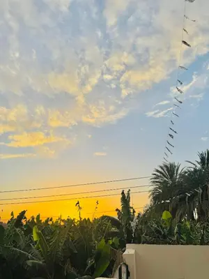 a kite flying in the sky at sunset at Paradise House Holiday in Luxor