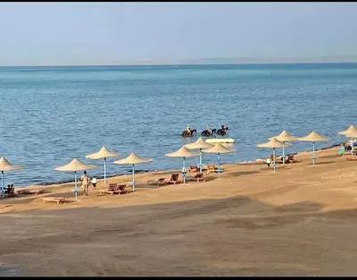 a beach with umbrellas and people riding horses on the beach at شقه على البحر مباشره in Hurghada