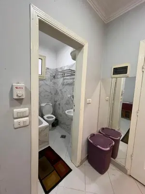 a bathroom with a toilet and a sink at Roma Apartment LXR in Luxor