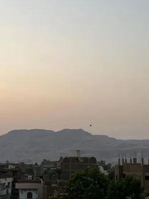 a bird flying in the sky over a city at Roma Apartment LXR in Luxor