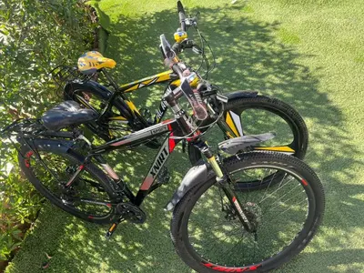 a bike parked on the grass next to at Al Mansi Luxury Retreat 1 in Luxor